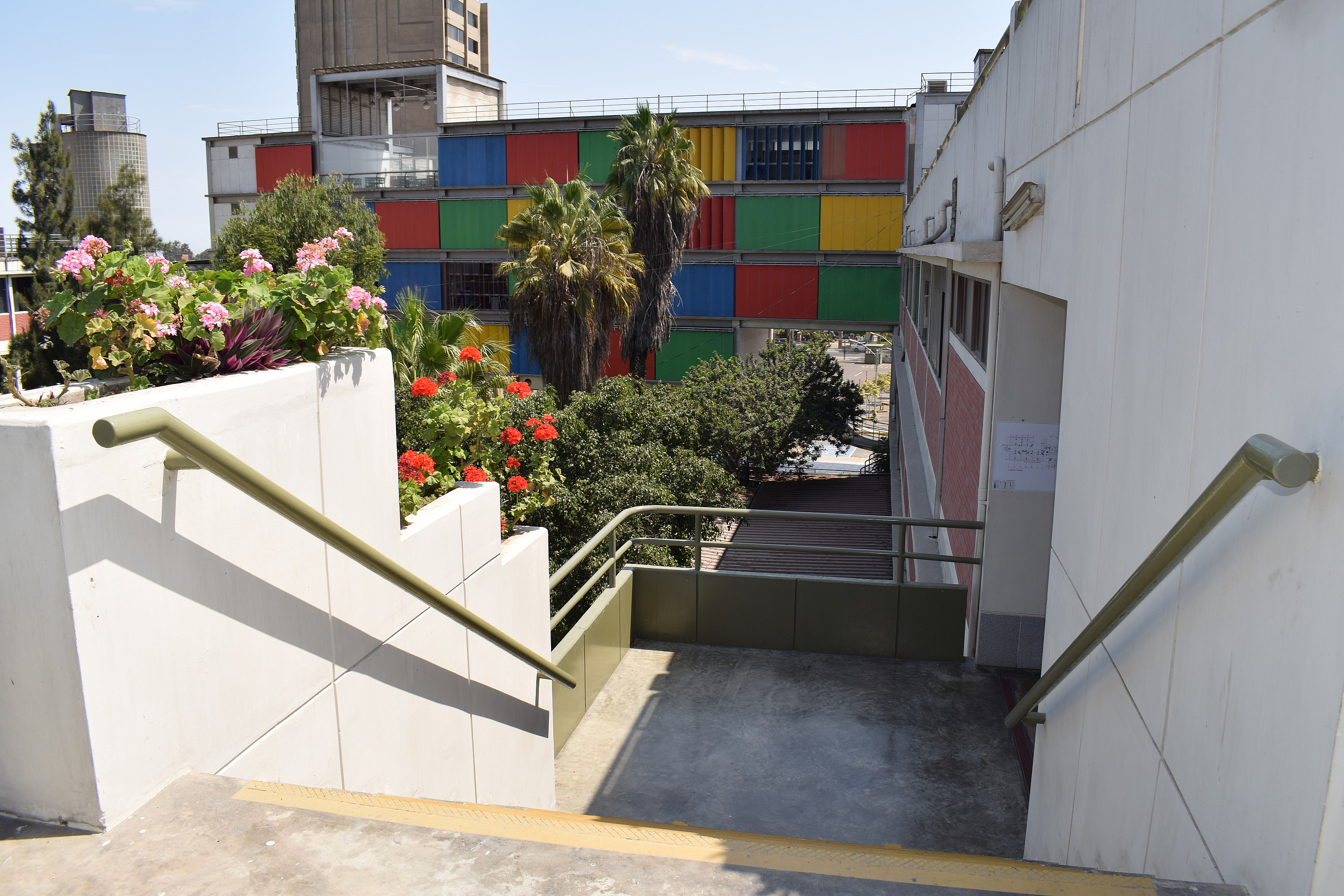 DSC_0289.jpg