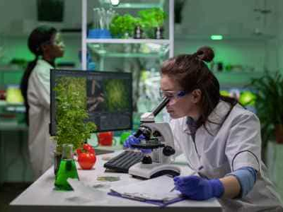 Facultad de Ciencias Biologicas