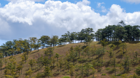 Grupos de Investigación sobre temas ambientales