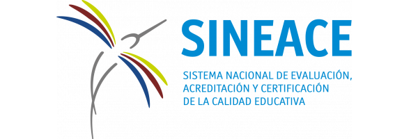 https://www.sineace.gob.pe/
