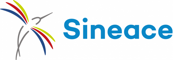 https://www.sineace.gob.pe/