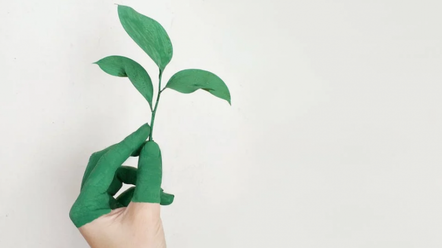 Eventos de sostenibilidad ambiental