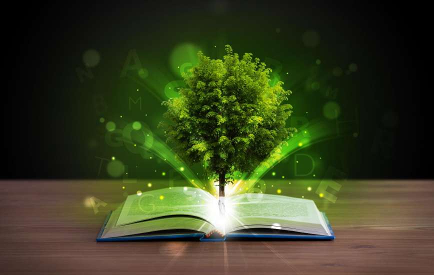 Indicador de la asignatura sobre educación ambiental en los planes de estudios.