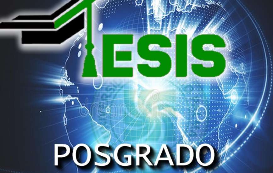 Tesis Posgrado